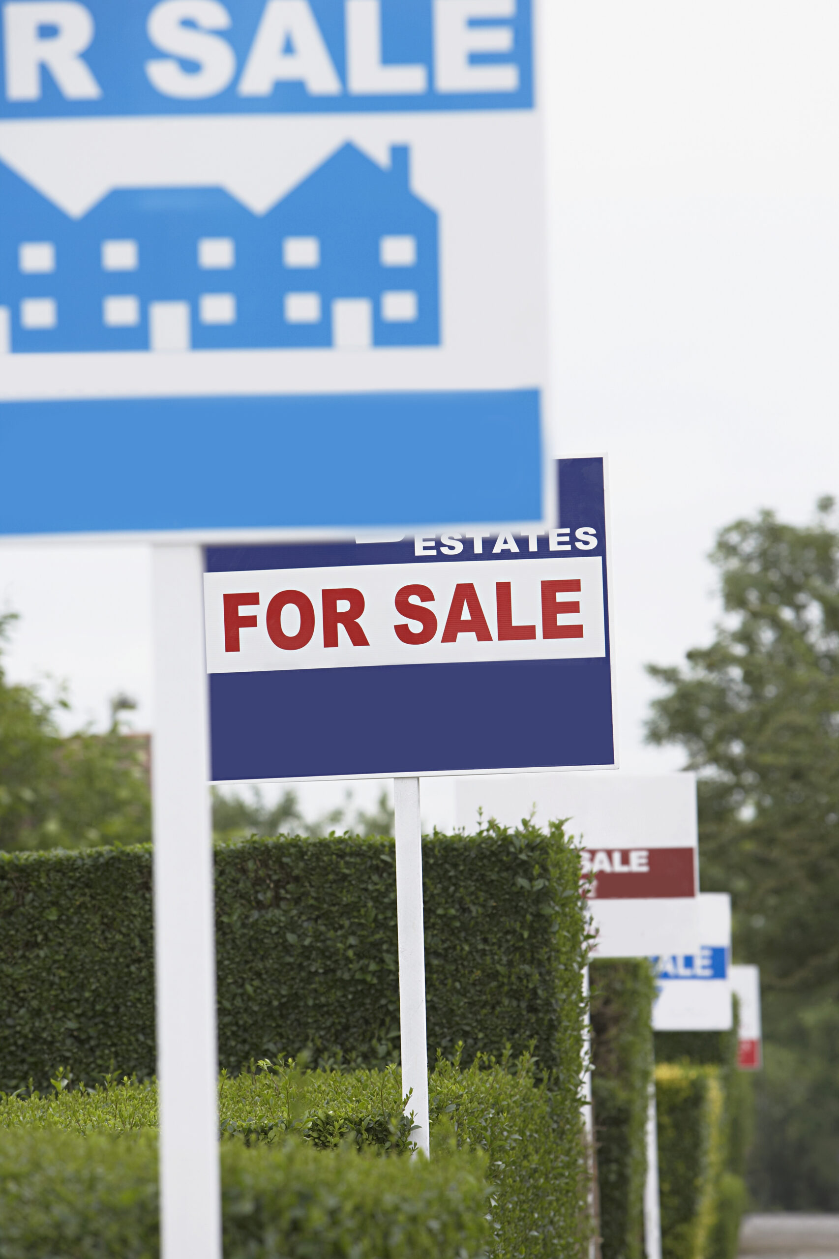 A row of real estate for-sale signs with different colors and layouts, demonstrating how inconsistent signage reduces recognition