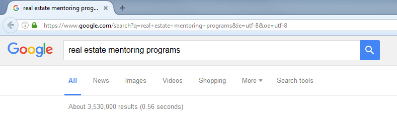 google results for real estate mentoring programs